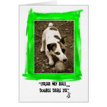 Jack Russell Terrier Cards