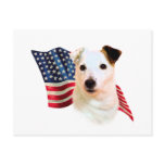 Jack Russell Terrier Flag postcards