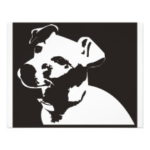 Jack Russell Terrier Invite