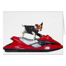 Jack Russell Terrier on Jetski greeting card