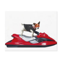 Jack Russell Terrier on Jetski postcard