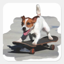 Jack Russell Terrier on Skateboard Stickers