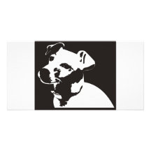 Jack Russell Terrier Photo Card