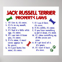 JACK RUSSELL TERRIER PL2
