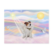 Jack Russell Terrier Post Card