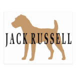 Jack Russell Terrier Postcard