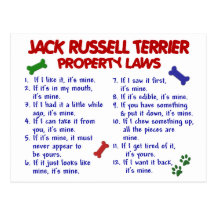 JACK RUSSELL TERRIER Property Laws 2 Postcards