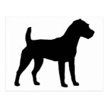 Jack Russell Terrier Silhouette Postcards
