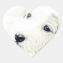 Jack Russell Terrier Sticker