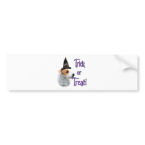 Jack Russell Terrier Trick