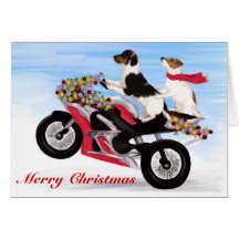 Jack Russell Terriers riding a motorcycle Card