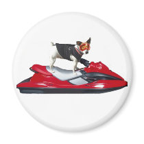 Jack Russsell Terrier magnet