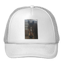 Jack the Quarter Horse Hat