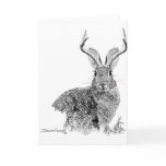 Jackalope Cards
