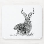 Jackalope mousepads
