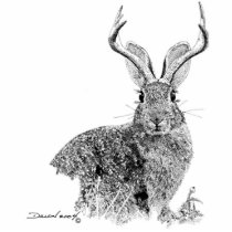 Jackalope Photo Cut Outs