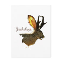 Jackalope Postcard