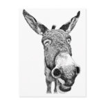 Jackass postcards