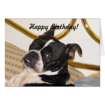 Jackies pic 2 003, Happy Birthday! Greeting Cards