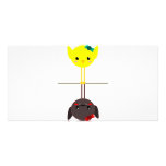 jackill bird bat photo cards