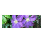 Jackmanii Clematis Business Card Template