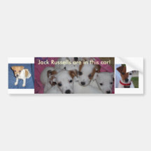 jackrussell terrier bumper bumper stickers