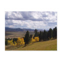 Jackson Hole Wyoming Series postcards