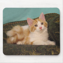 Jackson Mousepad