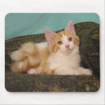 Jackson Mousepad