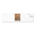 Jacky Dragon Bumper Sticker