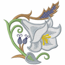 Jacobean Lily