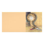 Jacobin Almond photo cards