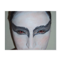Jacqui B Black Swan Postcard