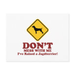 Jagdterrier postcards