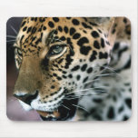 Jaguar#4-Mousepad