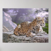 Jaguar and Mayan Temple Posters