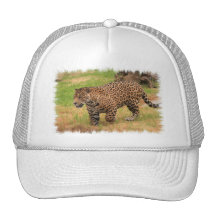 Jaguar Baseball Hat