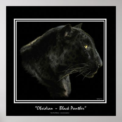 JAGUAR, BLACK PANTHER Big Cat Art Print by RavenSpiritPrints
