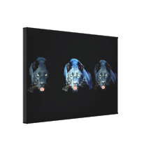 Jaguar - Black Panther Cat Wrapped Canvas Gallery Wrapped Canvas