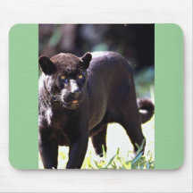 Jaguar, black-phase (Panthera onca) Mouse Pads