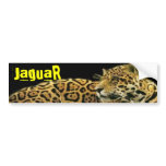 JaguaR bumper stickers