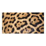 Jaguar Fur Photo Print Photo Greeting Card