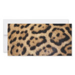 "Jaguar Fur" Photo Greeting Card