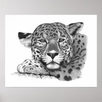 Jaguar in Pencil
