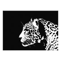 Jaguar Invitation