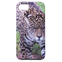 JAGUAR iPhone 5 COVER