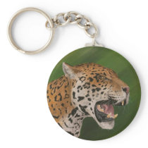 Jaguar Key Chains