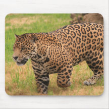 Jaguar Mouse Pad