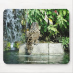 Jaguar Mouse Pad