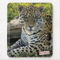 Jaguar mousepads